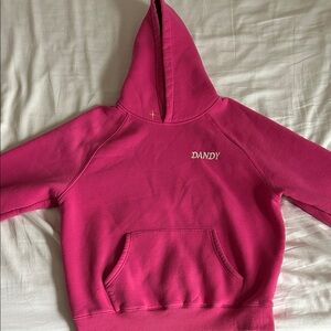 Dandy Worldwide “Physical Touch” Luxury Pink Hoodie